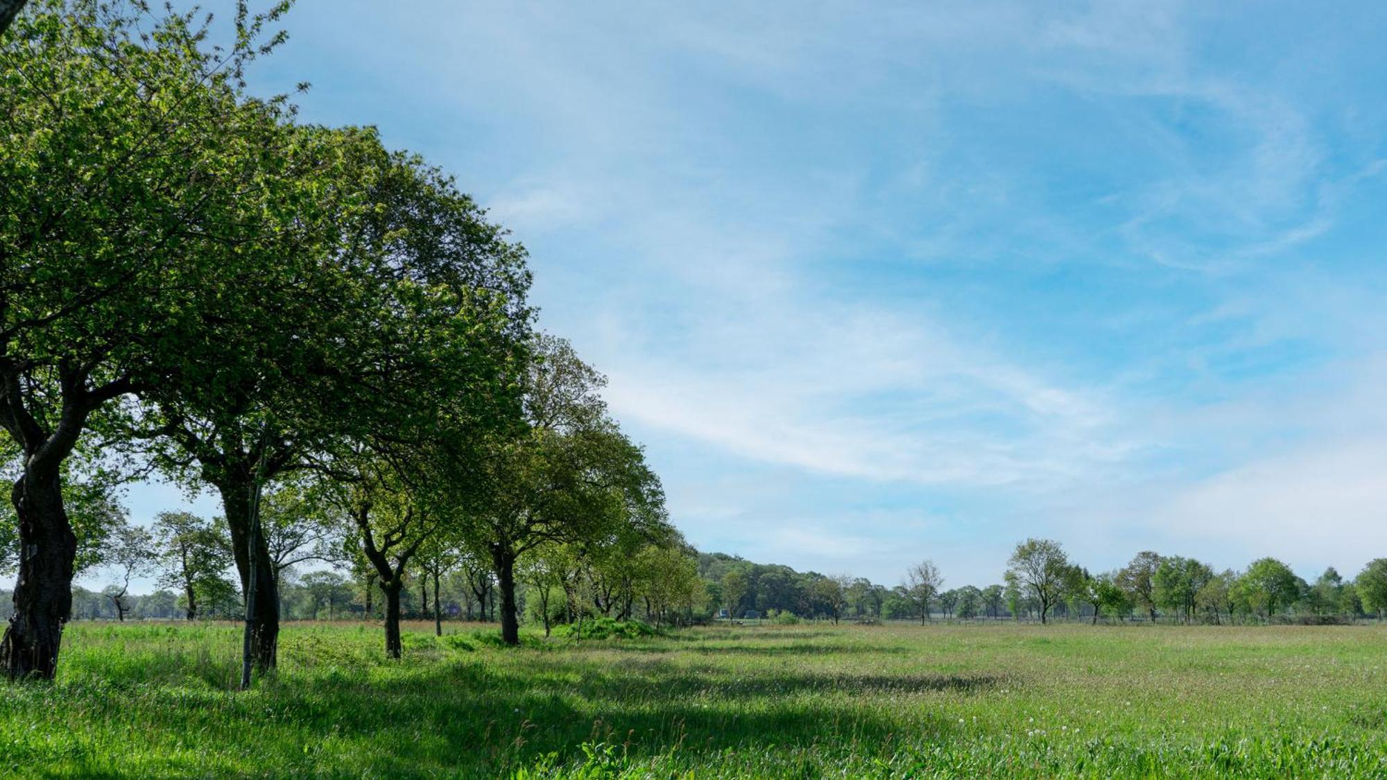 Friesensee Camping Und Ferienpark Wittmund Zewnętrze zdjęcie